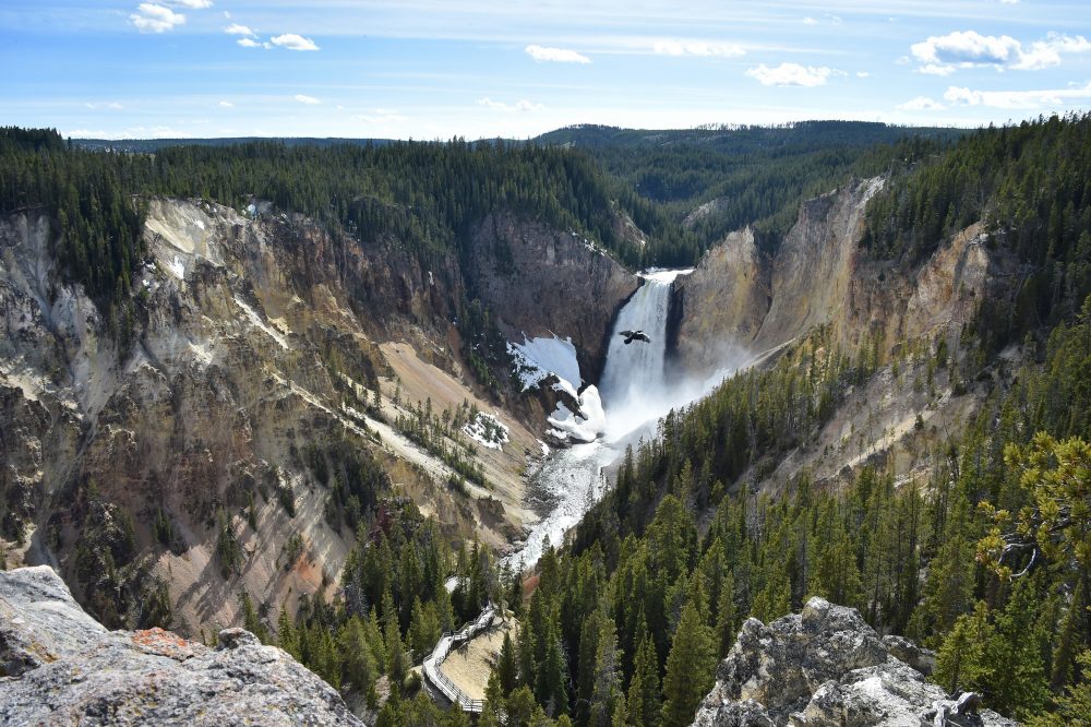 0822_yellowstone-1000x666